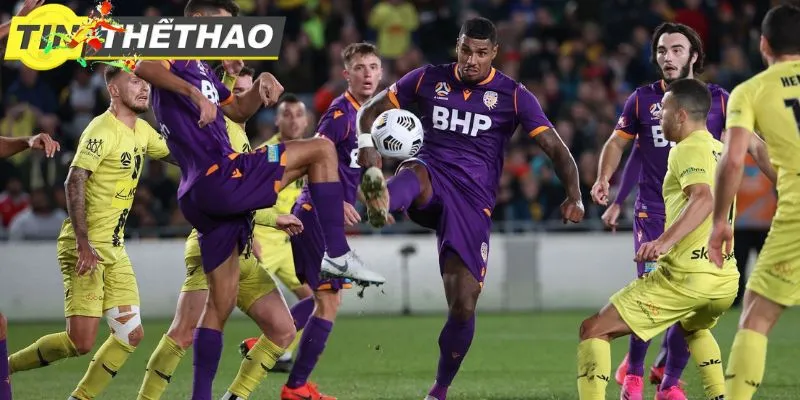 5D5B44CC 91AD 474D A310 6A2F94E1BDAD