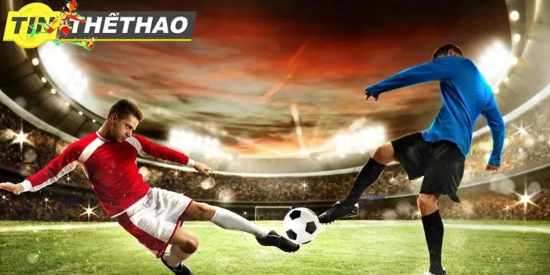 C86B7040 8948 4755 878D 35E287B3DDDE