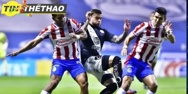 F749E779 2448 4F04 8A31 9FD68BDB3F61